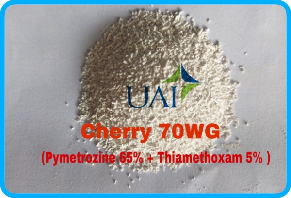Cherry 70WG - Công Ty TNHH Hóa Chất Phân Bón Thuốc Bvtv Dubai